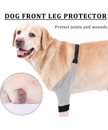 Dog Leg Brace Elbow Brace Protector Pads for Small Dogs and Cats Support Elbow Hygroma Shoulder Dysplasia Osteoarthritis and Shoulder Dislocation(L) Large - Buy Online on GoSupps.com