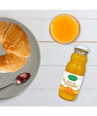 Valle del Crati Clementine Juice 100% Pure No Added Sugars and No Colourings or Preservatives Delicious and Refreshing Juice 12 bottles of 200 ml - Buy Online on GoSupps.com