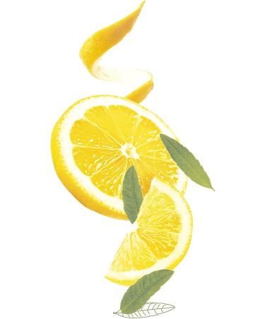 Monsavon D odorant Bio Femme Bille Senteur Citron & Verveine sans Alcool (Lot de 3 x 50ml) BIO Citron - Verveine - Buy Online on GoSupps.com