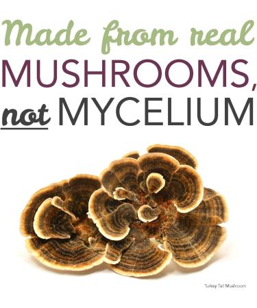 St. Francis Herb Farm Turkey Tail Mushroom Capsules | 100% Pure | High Potency | Immune Booster | Prebiotic to Support Healthy Digestion | Fruiting Body | High in Beta Glucans | 60 Vegicaps - Buy Online on GoSupps.com