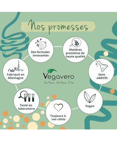 Organic Psyllium Blond Tegument | 90% Fiber | 400g Psyllium Husk | Superior Quality: Pure Natural & Vegan | Digestion + Transit Aid | Vegavero  - Buy Online on GoSupps.com