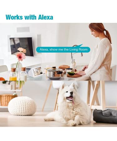 Vimtag 1080P Pet Camera 360 Pan/Tilt, 2-Way Audio, Motion Tracking, Night Vision, Cloud Storage - Smart Home Indoor Cam - White - Buy Online on GoSupps.com