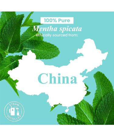 Handcraft Blends Minty Fresh Air Set: Citronella and Spearmint Essential Oils (2 x 4 Fl Oz) 100% Pure & Natural for Diffuser Aromatherapy and DIY Projects - Buy Online on GoSupps.com