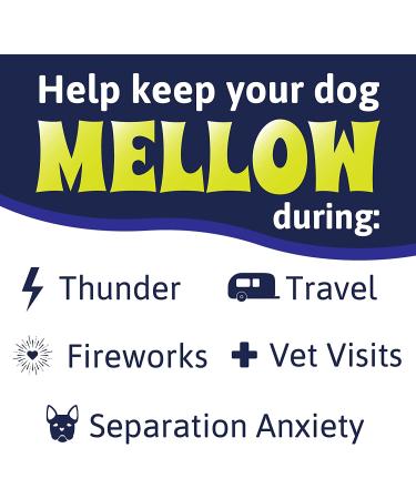 Mellow Shirt Dog Anxiety Calming Wrap - Medium (26-40 lb) Radiant Orchid - Buy Online on GoSupps.com