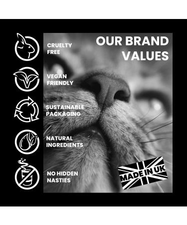 THE PET GURU Joint Guru Mobility Supplement for Cats 100 ml Naturally Supports Flexibility and Vitality Cat Health Joints Tendons Hips Anti-Inflammatory - Buy Online on GoSupps.com