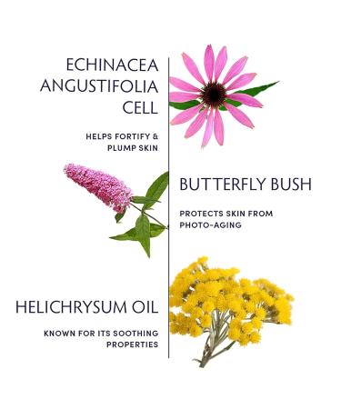 Naturopathica Plant Stem Cell Booster Serum Daily Anti-Aging Face Serum to Smooth Fine Lines Firming Facial Serum Helps Plump & Protect Skin 1.18 fl oz - Buy Online on GoSupps.com