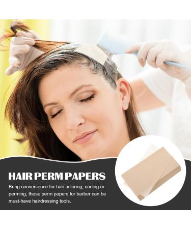 Papier Permanent Jetable pour Coiffeur 500 Feuilles Protection Chaleur Cheveux Solution Permanente pour Cheveux Papier Permanent de Salon Professionnel pour Coiffure - Buy Online on GoSupps.com