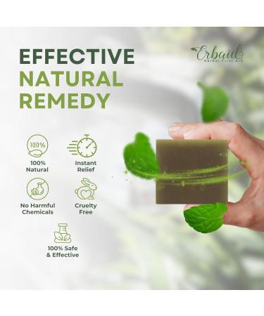 Poison Ivy Soap Bar All Natural Treatment for Poison Ivy Oak & Sumac Anti-Itch Skin Cleanser Soothes & Relieves Rashes Made in USA 5oz - Buy Online on GoSupps.com