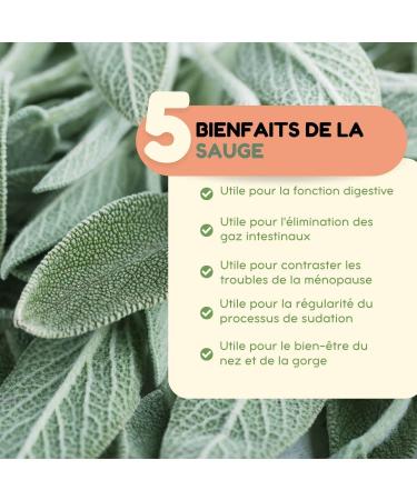 Vonderweid - Alcohol-free Mother Sage Tincture | Glycerin Extract | Sage Drops | Ultrasonic Extraction | Salvia Officinalis Food Supplement | Vegan Alcohol-free | 100ml - Buy Online on GoSupps.com