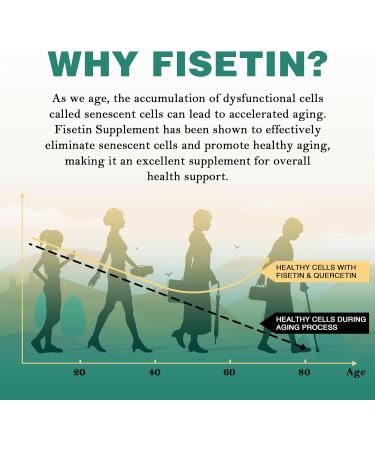 High-Potency Liposomal Fisetin & Quercetin Antioxidant Combo - 1000mg - 60 Softgels - Optimal Health Support - Buy Online on GoSupps.com