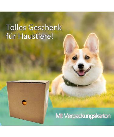 Jwteee Indestructible Dog Toys - Interactive Feeding Ball & IQ Training Puzzle for Dogs | Fun Snackball with Sound - Buy Online on GoSupps.com