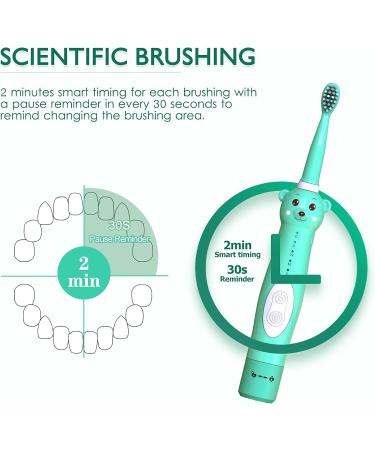 Kids Sonic Electric Toothbrush - Rechargeable Cute Bear Design for Boys and Girls (Ages 3-12) | 30s Reminder, 2 Min Timer, 5 Modes | 6 Brush Heads & Wall-Mounted Holder Included - Green - Buy Online on GoSupps.com