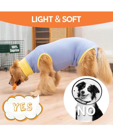 Avont Dogebody Post-Op Recovery Suit for Neutered Males & Females | Wound Protection Clothing (2XL Blue) - Buy Online on GoSupps.com