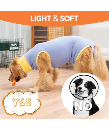 Avont Dog Recovery Suit - Postoperative Wound Protection for Neutered Males & Bitches - Blue (3XS) - Prevents Leak & Ensures Comfort - Buy Online on GoSupps.com