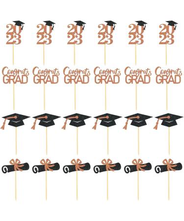 WOTEG Graduation Cupcake Toppers 2023 | Graduation Theme Cupcake Toppers - Grad Caps Food Appetizer Picks Cake Graduation Party Decorations Diploma Cupcake Picks for Cake Rose Gold - Buy Online on GoSupps.com