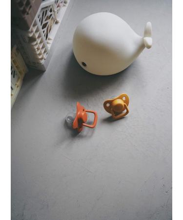 Filibabba Schnuller 2 Set | Silicone Baby Pacifiers in Matt Colors | Danish Design | 6+ Months | Includes Pacifier Box (Golden Mustard) - Buy Online on GoSupps.com