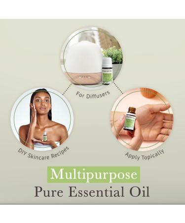 Pranarom USDA Certified Organic Australian Sandalwood Essential Oil (5ml), 100% Pure Natural Therapeutic Grade for Home Diffusing, Aromatherapy, Skincare, Candle Making, DIY Perfumes - Buy Online on GoSupps.com