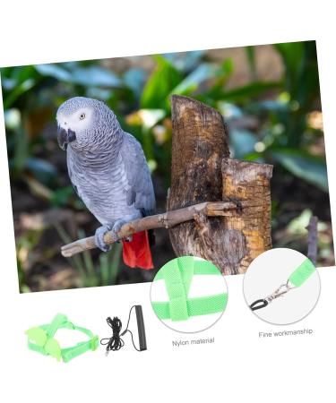 Beavorty 2 Sets Bird Leash Lizard Leash Pet Bird Harness and Leash Chicken Harness for Birds Parrot Bird 12X6X1.3CMx2pcs Greenx2pcs - Buy Online on GoSupps.com