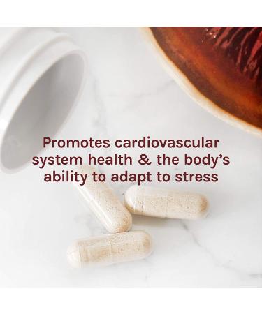 Fungi Perfecti Reishi Longevity Support - 120 Vegetarian Capsules for Immune & Vitality Boost - Buy Online on GoSupps.com
