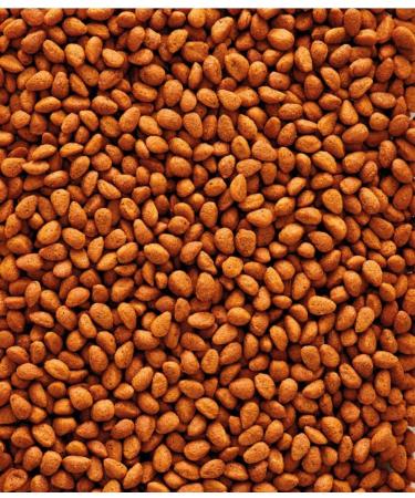 G18 NutriBird Verselle Laga Healthy Parrot Pellets African Grey Conure Cockatiel Cockatoo Macaw Super Food - Buy Online on GoSupps.com