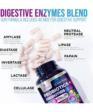 Daily Probiotic for Women & Men 60 Billion CFU 10 Strains Supplement Lactobacillus Probiotics - Digestive Gut & Immune Health Support - Supports Occasional Constipation Gas & Bloating - 120 Capsules 120 Count (Pack of 1) - Buy Online on GoSupps.com