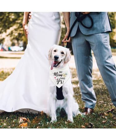 Arricraft Adjustable Pet Dog Bandana for Weddings & Engagements - 'My Mother Said Yes' - Buy Online on GoSupps.com