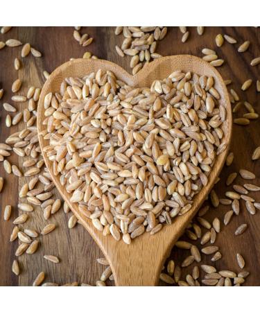 Cucina & Amore Pearled Farro | Emmer Spelt Vegan Fiber Pantry Perfect 17.6oz (2 Pack) - Buy Online on GoSupps.com