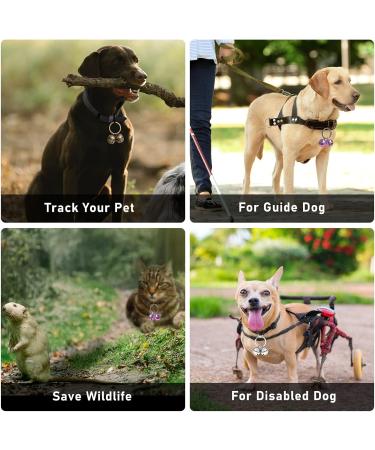 Whimsii Dog and Cat Collar with Bell - Stylish Silver Pet Accessory | International Shipping Available - Buy Online on GoSupps.com