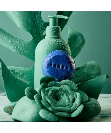  BANBU BANBU Hit Strengthening Anti-Hair Shampoo 75 g. Vegan Made in Spain - Buy Online on GoSupps.com