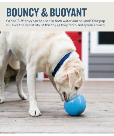 Planet Dog Orbee-Tuff Snoop - Interactive Snack Ball for Dogs - Large Blue Toy - International Shipping - Buy Online on GoSupps.com