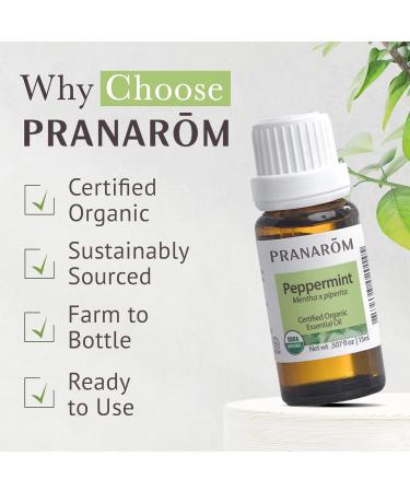 Pranarom USDA Certified Organic Peppermint Essential Oil (15ml) 100% Pure Undiluted Therapeutic Grade from India for Aromatherapy Diffuser Topical Cooling Massage & Relaxation 0.5 Fl Oz (Pack of 1) - Buy Online on GoSupps.com
