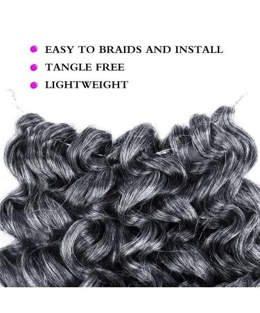 Short 10 inch Grey Curly Crochet Hair for Black Women - Water Wave Ocean Wave Gogo Curl Crochet Braids (TGREY) - Buy Online on GoSupps.com