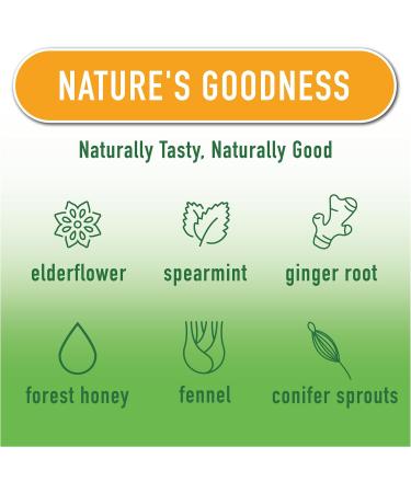 Hubner Tannenblut Organic Herbal Preparation Honey Cough Syrup Cold and Sore Throat Support Soothing Relief Vitamin C Supplement for Adults and Kids 4 and Older Kosher and Alcohol-Free 250 ml Honey Herbs and Vitamin C  - Buy Online on GoSupps.com