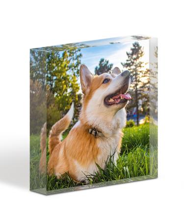 TULLUN Personalised Custom Made Pet Dog Cat Animal Memorial Acrylic Crystal Clear Block Plaque with Photo Text Name Date - Full Print 3D Effect
