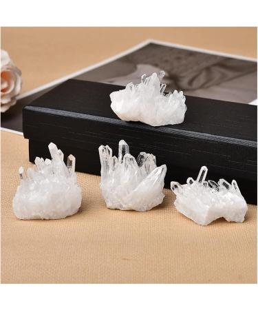 Crystal Rough Natural Crystal Cluster Raw Quartz White Clear Quartz Stones Gemstone Specimen Home Decoration Raw Gifts Raw Stones and Minerals (Color : Random Delivery Size : 10-20g) (Color : Random 30-40g Random Delivery - Buy Online on GoSupps.com