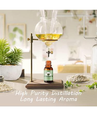 30*10ML Essential Oil Set - 100% Natural Oils for Aromatherapy, Diffuser, Massage, Skin & Hair Care - DIY 0.33 Fl Oz (Pack of 30) - Buy Online on GoSupps.com