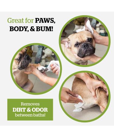 Pogis Care Cloths - 100 Biodegradable Desodorizing Wipes for Dogs - Extra Red Green Tea Fragrance - Buy Online on GoSupps.com