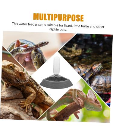 BELLIFFY Turtle Drinker Auto Feeder Reptile Food Bowl Automatic Reptile Feeder Automatic Waterer Pet Plastic 17.00X17.00X3.50CM Grey - Buy Online on GoSupps.com
