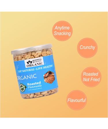 Blessfull Healing Organic Natural Vegan Smoky Barbeque Roasted Peanuts Crunchy Healthy Snacks 300 Gram - Buy Online on GoSupps.com