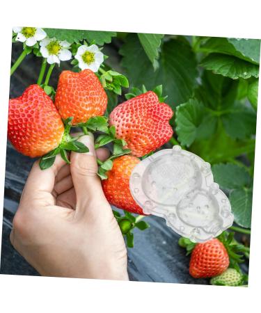 Parliky 1 Set Shaping Convenient Fruits Vegetable Shaper Ginseng Fruits and Vegetables Plastic - Buy Online on GoSupps.com