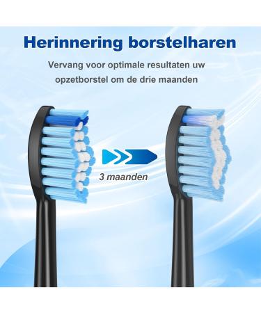 REDTRON replacement brush heads for Philips Pro Results 8 pieces replacement brush heads for FlexCare ProtectiveClean HealthyWhite EasyClean and PowerUp black 8 Black and blue - Buy Online on GoSupps.com