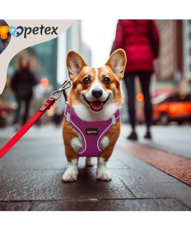 Petex Dog Harness for Small & Medium Dogs - TUV Tested Made in Europe | Reflective Breathable Air Mesh Technology - Purple XS - Buy Online on GoSupps.com