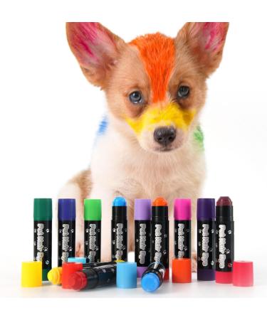 Dog Dye - Temporary Paint for Dogs Made with Washable Chalk | Safe Dye for Horses Cats and Farm Animals Suitable for Grooming and Festivals - Buy Online on GoSupps.com