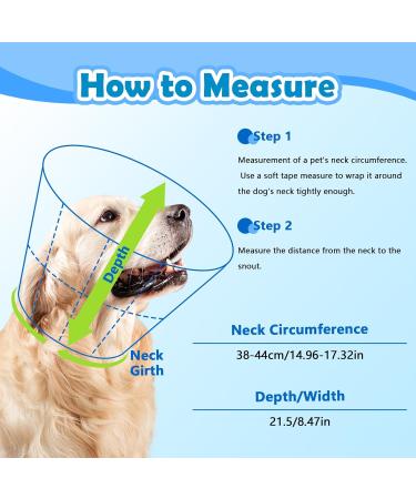 Dog Cone Collar After Surgery Adjustable Dog Cones to Stop Paw Licking Soft & Breathable Pet Recovery Collars Protective Neck Collars for Dogs and Cats Quick Healing Elizabeth Collar (Blue & Green L) - Buy Online on GoSupps.com