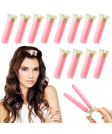 12Pcs Volumizing Hair Clips Instant Hair Volumizing Clips for Women Hair Volume Clips for Roots Volumizing Root Clips for Hair  Instant Hair Root Volume Clip for Women Girls  DIY Hair Styling Tool (Pink)