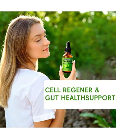 Organic Soursop Bitters Liquid Drops with Vitamins B6 C D3 Soursop Graviola Multivitamin Liquid for Immune Support and Sleep Support Gluten Free Vegan and Organic - 2 oz 60 ml (2 Bottle) - Buy Online on GoSupps.com