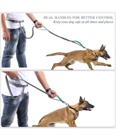 Buy Vivaglory Free-Handed Dog Leash | Padded Handles | Anti-Shock Bungee | Reflective Waist Running Leash for Medium & Large Dogs - Gray/Turquoise - Buy Online on GoSupps.com