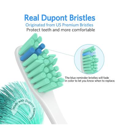 Senyum Replacement Heads for Philips Sonicare E-Series Toothbrush - 4 Pack - Buy Online on GoSupps.com