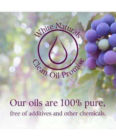 4 oz Grapeseed Oil - 100% Pure, Cold-Pressed for Massage, Cooking & Aromatherapy - Vitamin-Rich E, A, K - Buy Online on GoSupps.com