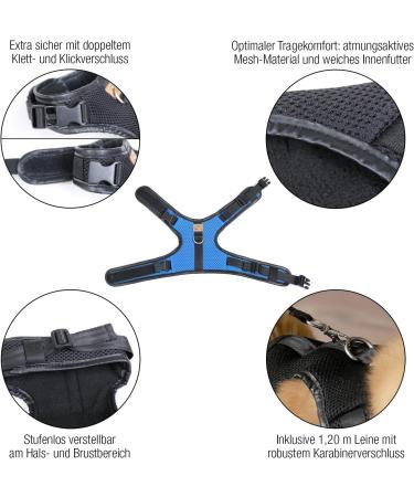 Bella & Balu Cat Harry - Durable Breast Dish with Leash Soft Lining & Breathable Mesh for Comfortable Walking (Small Black) - International Shipping Available - Buy Online on GoSupps.com